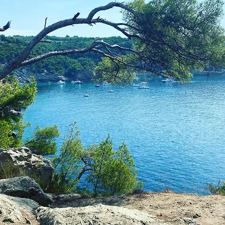 Fregate - Golf De Fregate - Cyr Sur *